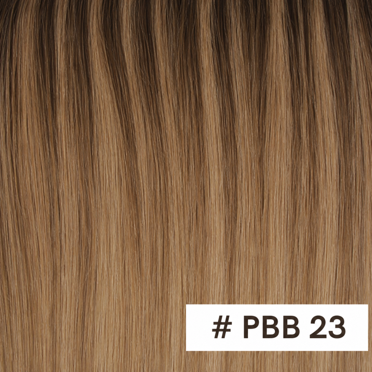 PBB23